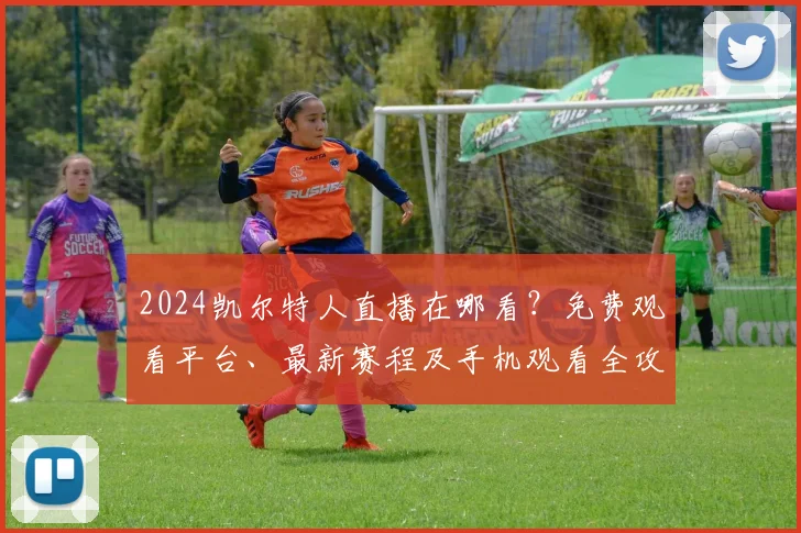 2024凯尔特人直播在哪看？免费观看平台、最新赛程及手机观看全攻略